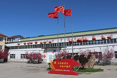 factory Power Transformer